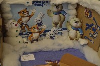 �����������