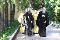 �����������