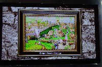 �����������