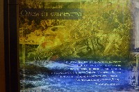 �����������