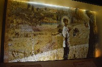 �����������