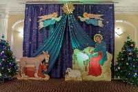 �����������