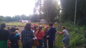 �����������