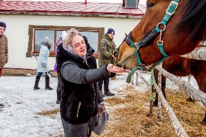 �����������