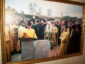 �����������