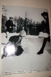 �����������