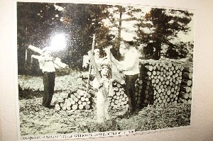 �����������