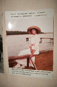 �����������