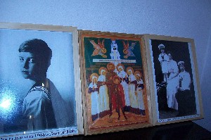 �����������