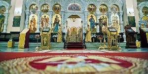 �����������