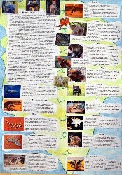 �����������