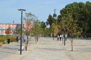 �����������