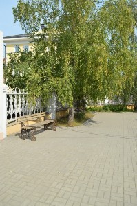 �����������