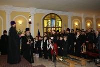 �����������