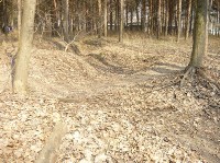 �����������