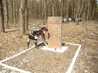 �����������