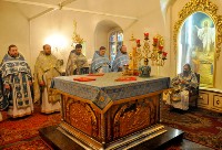 �����������