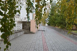 �����������