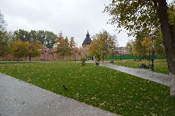 �����������