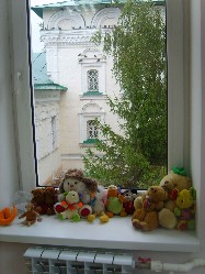 �����������