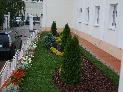 �����������