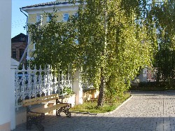 �����������